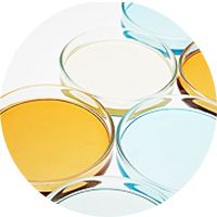 單細(xì)胞測序                       